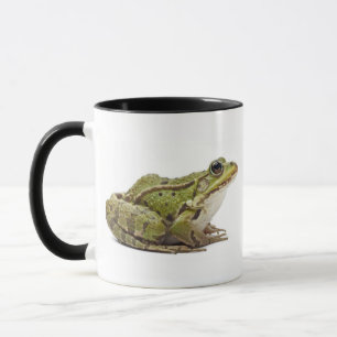 Caneca Sapo europeu comum ou sapo comestível