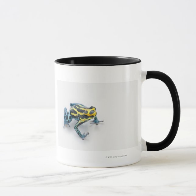 Caneca Sapo preto, amarelo e azul do dardo do veneno (Direita)