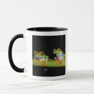 Caneca sapos de árvore Vermelho-eyed (callidryas de