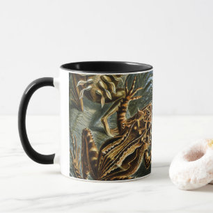 Caneca Sapos e rãs antigos Batrachia por Ernst Haeckel