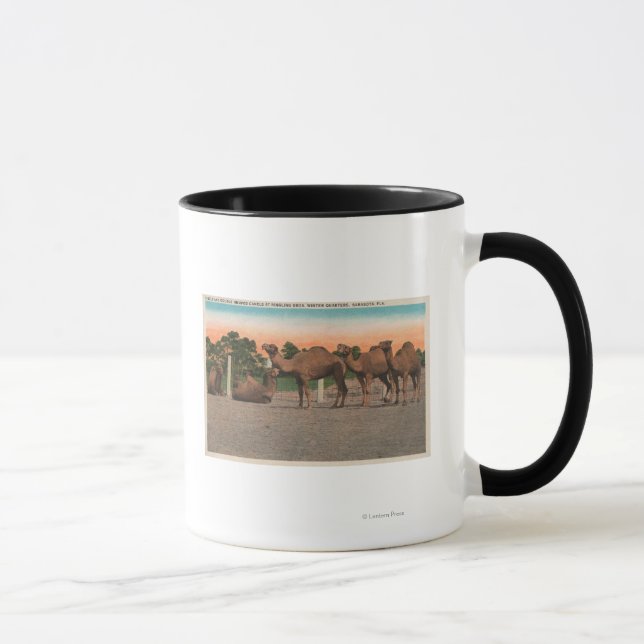 Caneca Sarasota, Flórida - Camelos em Ringling Bros (Direita)