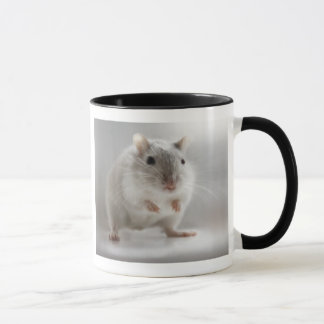 CANECA SATISFEITO PARA ENCONTRÁ-LO