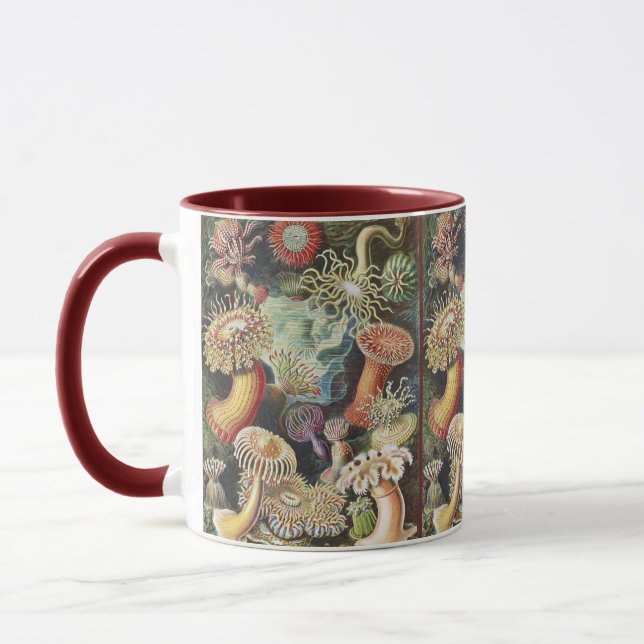 Caneca Sea Anemone Scientific Nature Ocean (Esquerda)