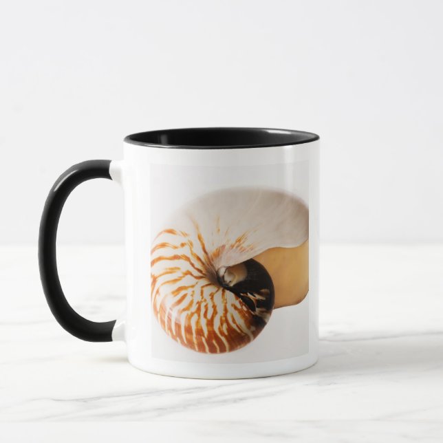 Caneca Seashell do nautilus (stenomphalus do nautilus) (Esquerda)
