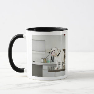 Caneca Seattle, Washington, EUA