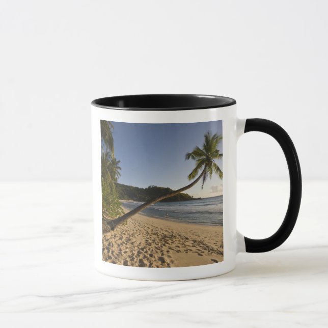Caneca Seicheles, ilha Mahe, praia de Anse Takamaka, (Direita)