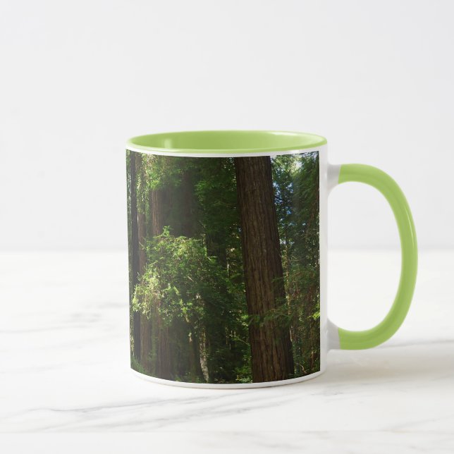 Caneca Sequoias e Fernos no Parque Nacional de Redwood (Direita)