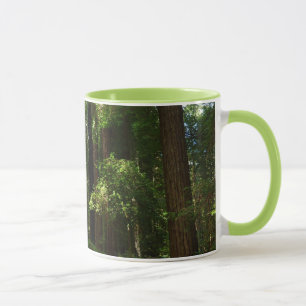 Caneca Sequóias e Samambaias no Parque Nacional de Redwoo