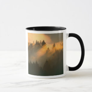 Caneca Sequoias vermelhas no nevoeiro costeiro, Condado d