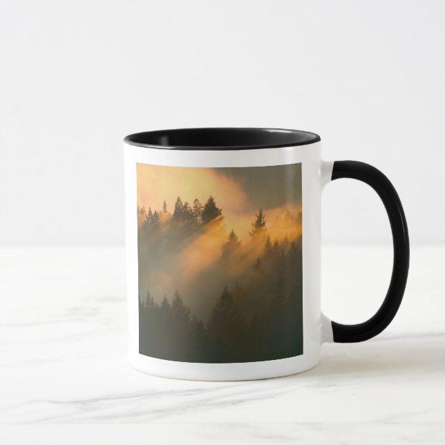 Caneca Sequoias vermelhas no nevoeiro costeiro, Condado d (Direita)