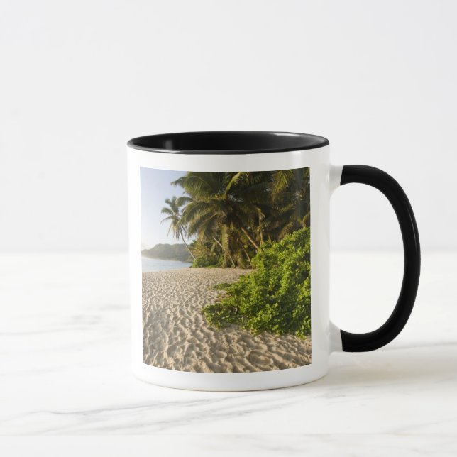Caneca Seychelles, Ilha de Mahe, Anse Marie-Louise (Direita)