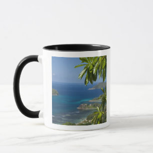 Caneca Seychelles, Ilha de Mahe. Costa ocidental de
