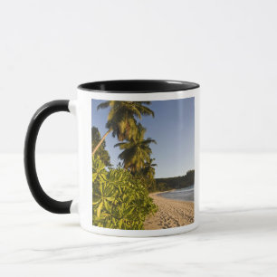 Caneca Seychelles, Ilha de Mahe, praia de Anse Takamaka,