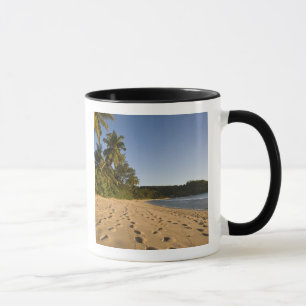 Caneca Seychelles, Ilha de Mahe, praia de Anse Takamaka,
