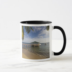 Caneca Seychelles, Ilha de Praslin, Anse Bois de Rose,