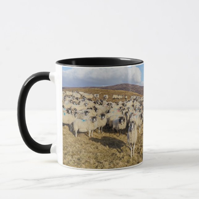 Caneca Sheep Blackface Sheep Herd (Esquerda)