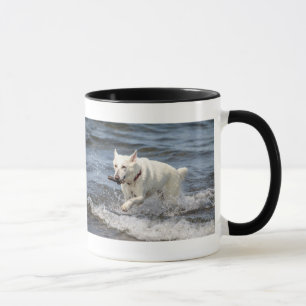 Caneca Shepard alemão branco no lago George