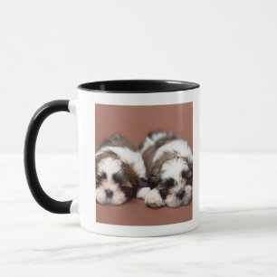 Caneca Shih Tzu