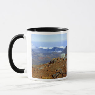 Caneca Silversword no cume da cratera Haleakala a partir