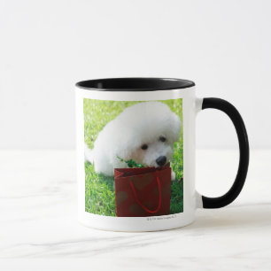 Caneca Singapore 7