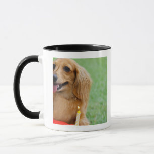 Caneca Singapore 8