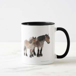 Caneca Sira de mãe e foal sorrindo, cavalo belga, belga