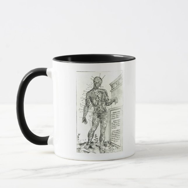Caneca Sistema vascular de acordo com Charles Etienne (Esquerda)