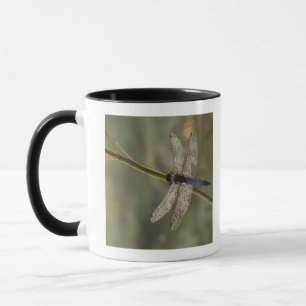 Caneca Skimmer de cauda negra