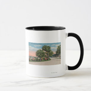 Caneca Smyrna novo, Florida - opinião da rua do parque d