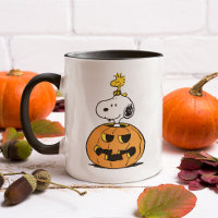 Snoopy & Woodstock Pumpkin