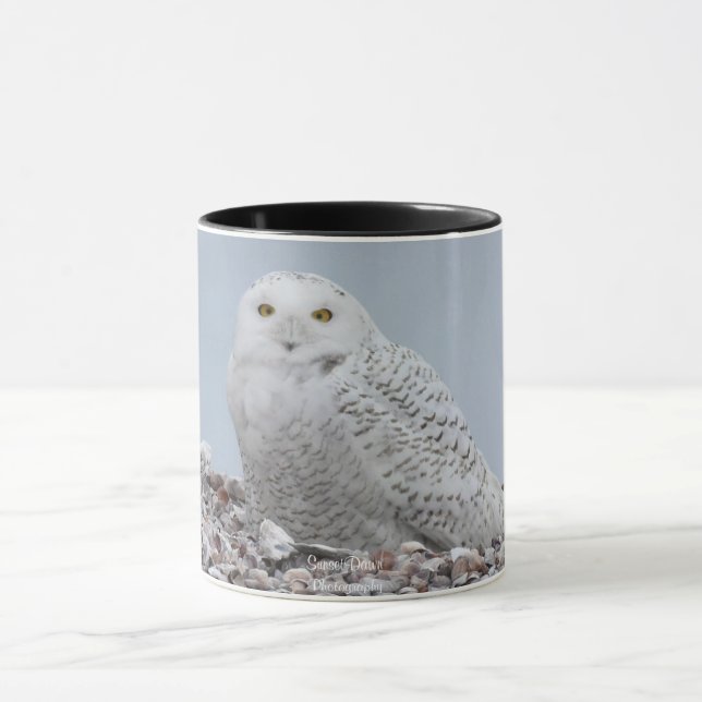 Caneca Snowy Owl nas    conchas (Centro)