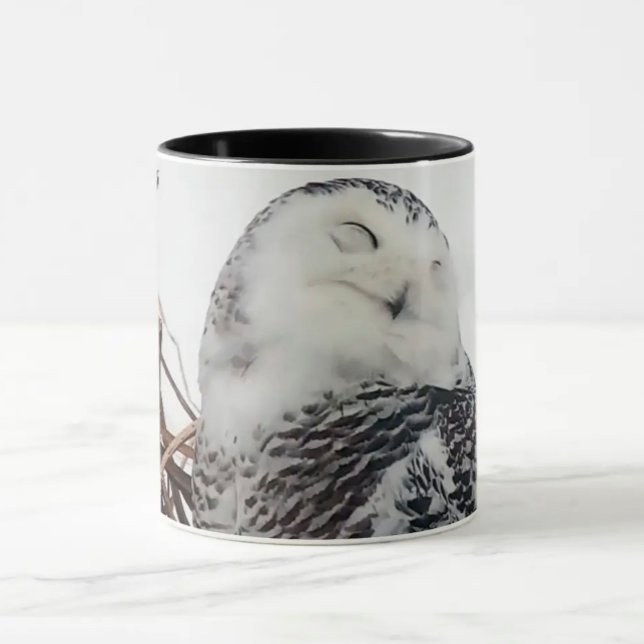 Caneca Snowy Owl no Mississippi Flyway (Criador carregado)