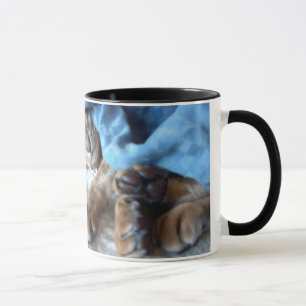 Caneca Sono Abyssinian do gato