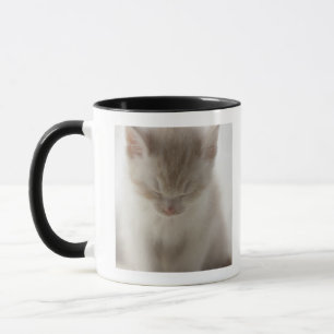Caneca Sono cansado do gatinho
