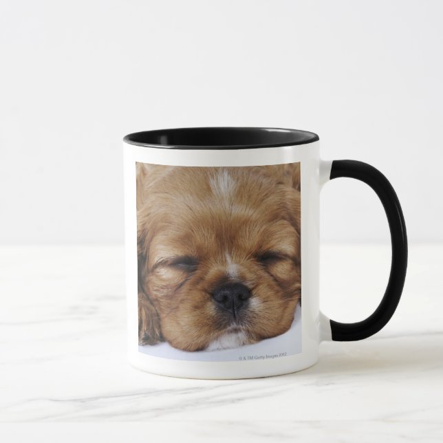 Caneca Sono descuidado do filhote de cachorro do Spaniel (Direita)