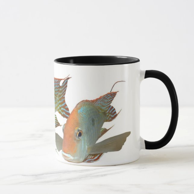 Caneca Sp de Geophagus. De "cabeça alaranjada Tapajos " (Direita)