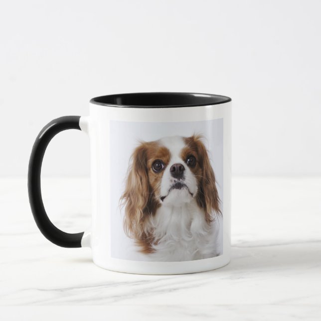 Caneca Spaniel de rei Charles descuidado que senta-se no (Esquerda)