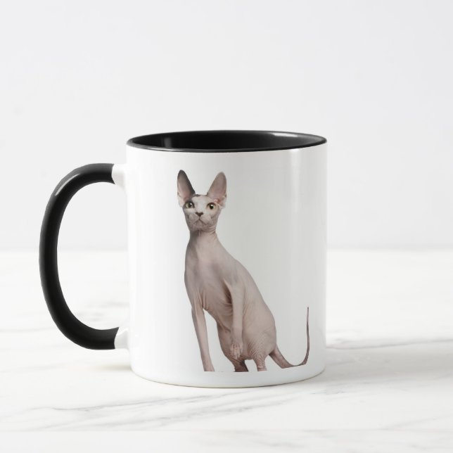 Caneca Sphynx (13 meses velho) (Esquerda)