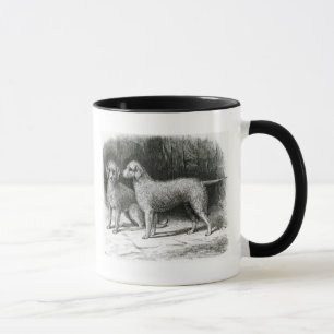 Caneca Sr. F. Armstrong dos terrier de Bedlington