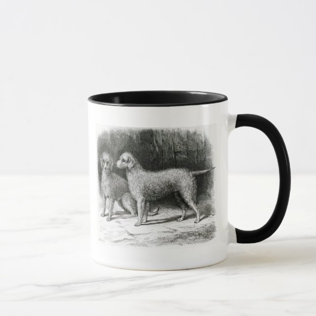 Caneca Sr. F. Armstrong dos terrier de Bedlington (Direita)