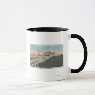 Caneca St Petersburg, Florida - ideia de milhão dólares