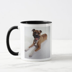 Caneca Staffordshire Terrier americano que encontra-se