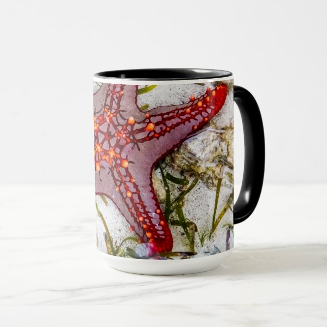 Caneca Starfish, Zanzibar, Tanzânia (Frente Esquerda)