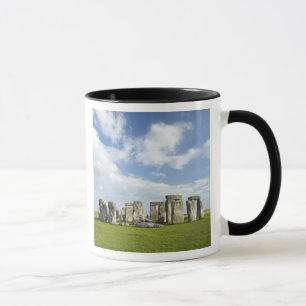 Caneca Stonehenge (por volta de 2500 a.C.), Patrimônio Mu