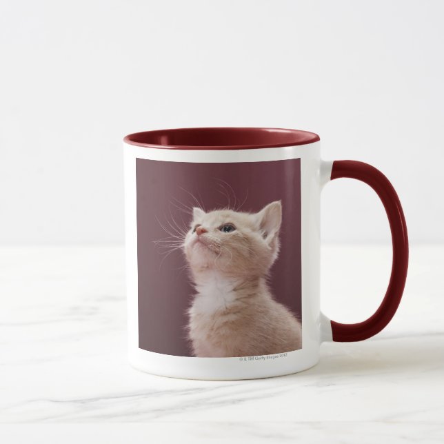 Caneca Suiças do gatinho (Direita)