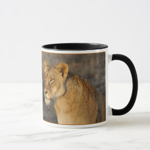 Caneca Sul - leão africano