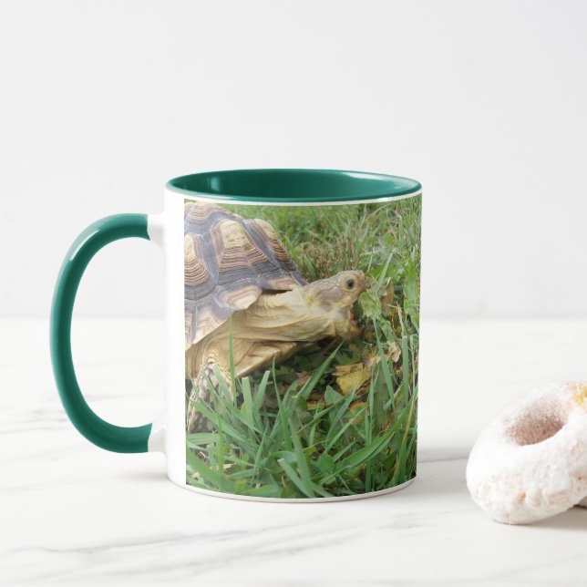 Caneca Sulcata Tortoise, Boca Aberta, Grazando em Grass (Com Donut)