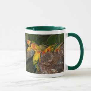Caneca Sun Conures