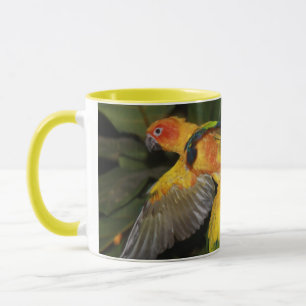 Caneca Sun Conures