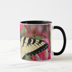 Caneca Swallowtail oriental
